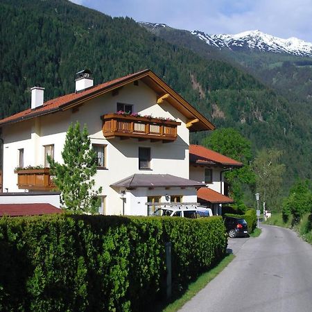 Haus Gruenbacher リエンツ エクステリア 写真